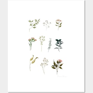 Delicate Botanical Pieces Posters and Art